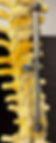 SSRS Correcting Scoliosis.png