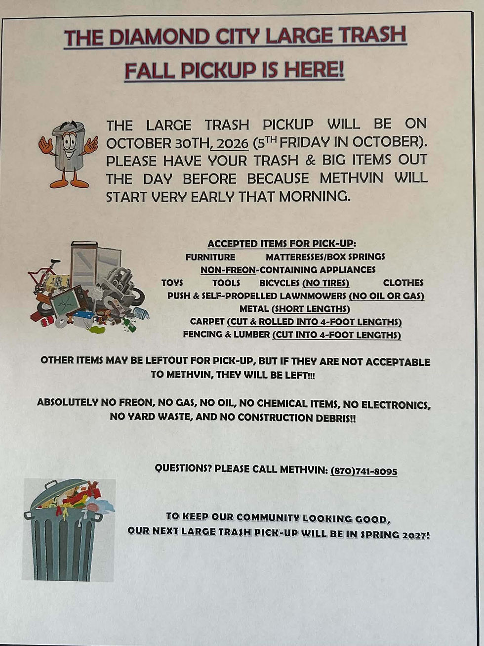 Diamond City Large Trash Pick Up