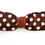 Thumbnail: Silk Polka Dot Bow Tie