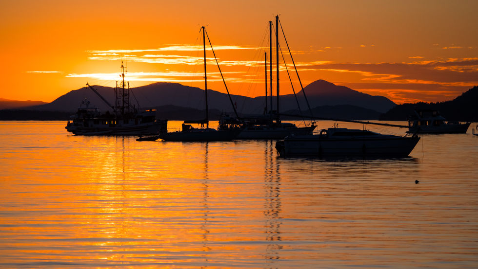 Calgary Photographer