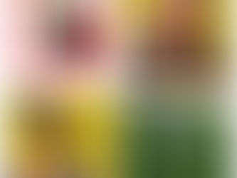 Projekteuropa und Kreativ-UNESCO Projekt 2022/23: „Unsere Welt. Unser Erbe. Unsere Verantwortung