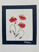 Poppies.jpeg