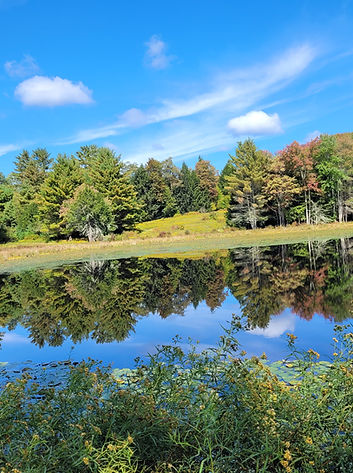 lake reflection.jpg