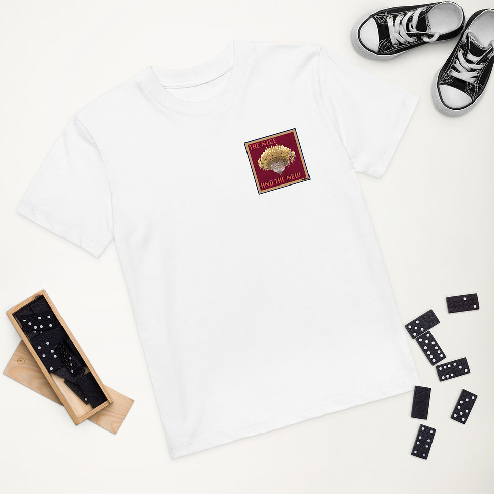 Thumbnail: Organic cotton kids t-shirt