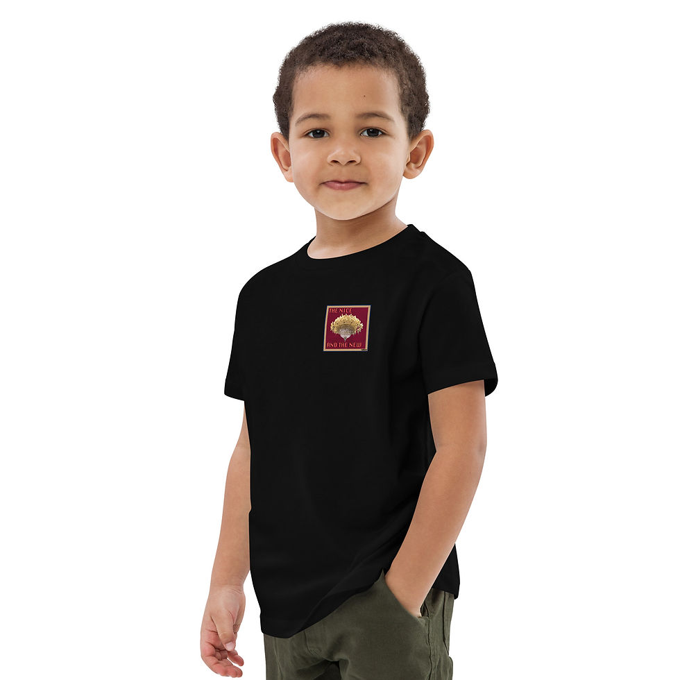 Thumbnail: Organic cotton kids t-shirt