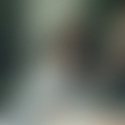 When Work Feels Energizing: Turning Team Alignment into Action