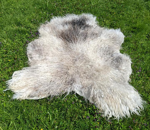 Silver Felted Rug_edited.jpg