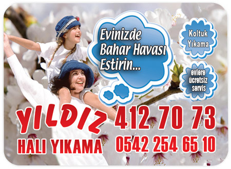 Halı Yıkama Magnetleri