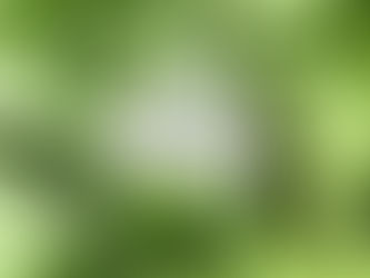 Mevsimlik Promosyon Bloknotlar