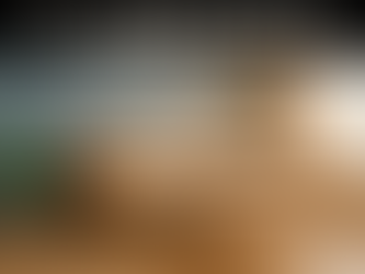 室內設計色彩心理學應用:灰藍、暖木駝、薄荷綠、奶茶杏白四種房產增值配色範例