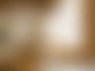 台北現代小宅室內空間,融合日式禪風設計,使用溫暖木質地板與家具、榻榻米休憩區、半透光和紙拉門、格柵牆面投射柔和光影,角落擺放羅漢松與苔球,牆上掛有簡約水墨畫,整體氛圍安靜沉穩且溫潤,無人物特寫,光線柔和呈現黃昏氛圍。