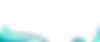 LSO Web Elements-5_edited.png