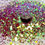 Miniaturbild: Chamäleon Bronze/Grün – Glitzermischung