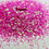 Thumbnail: Pink Diamond 1mm - Glitter Shape