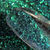 Miniaturbild: Baby Chameleon