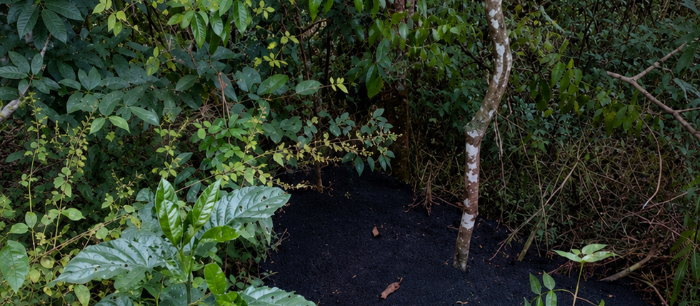 Ricardo Gringo denuncia descarte ilegal de massa asfáltica em beira de estrada no distrito do Salto