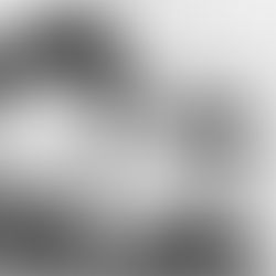 A Tale of Two Tories: Questions on Conservatism Across The Channel