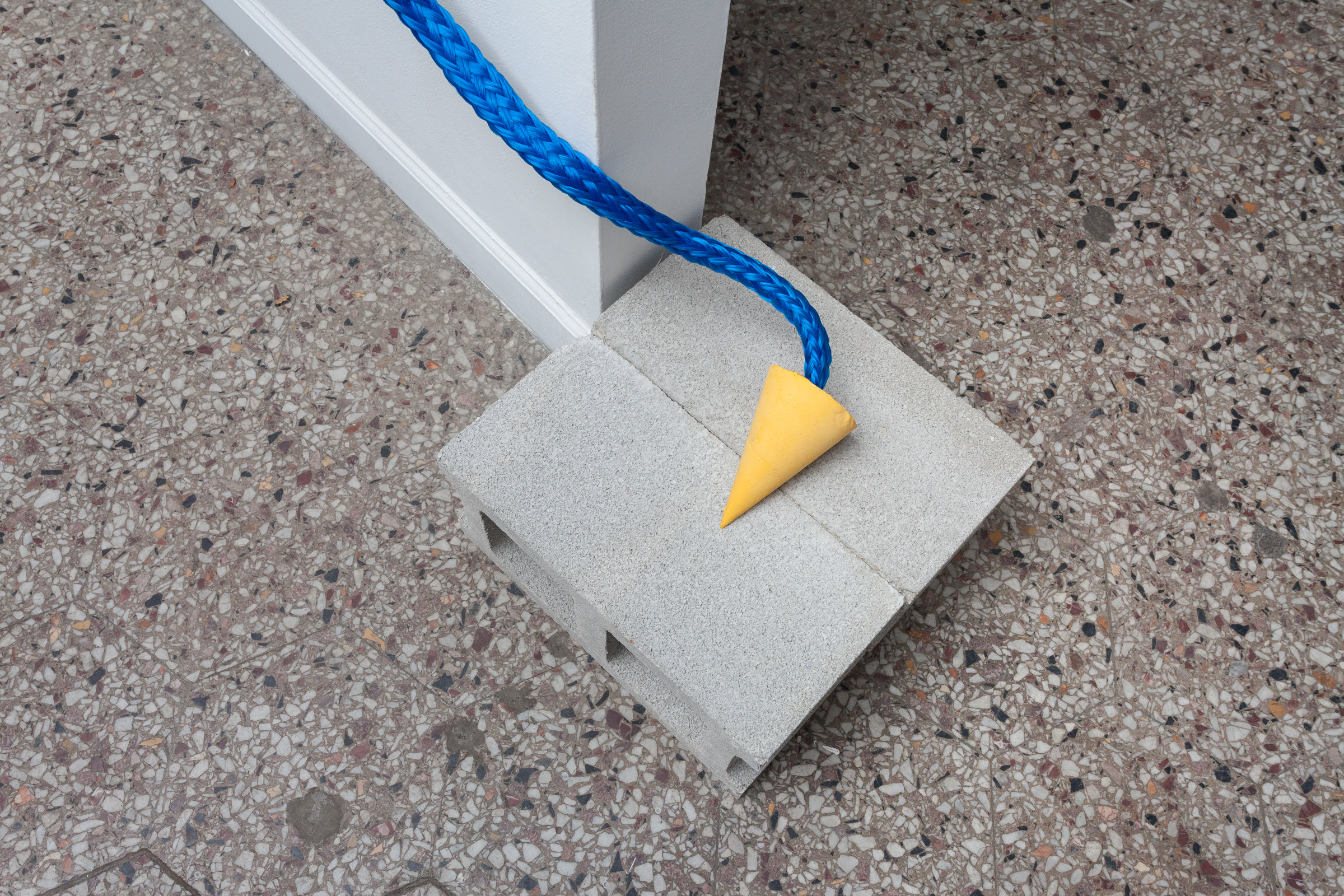 Detail of 'Slender Tow (turmeric)'