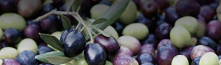 olio extra vergine di oliva