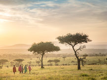 Maasai guides walk across the plains at sunrise while wildebeest graze in the distance