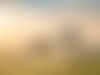 Maasai guides walk across the plains at sunrise while wildebeest graze in the distance