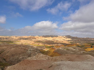 Lessons From the Past: The Role of the Fossil Record in Protecting the Future (as Told by Two Paleontologists)