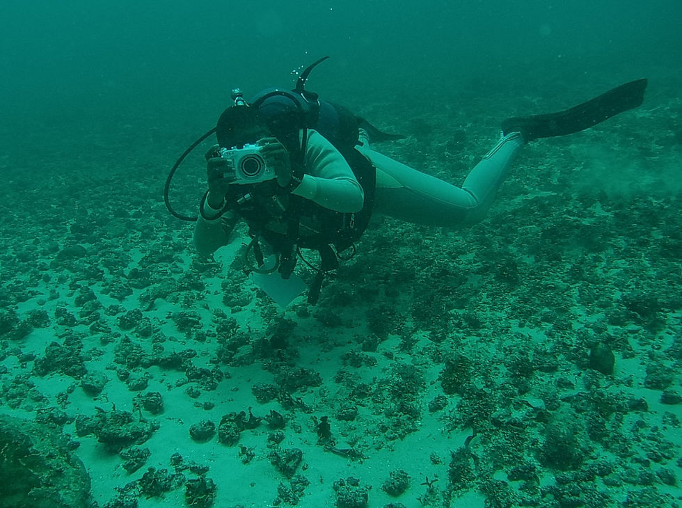 Underwater diver with camera documenting sea turtle behavior for photo ID research off Kenya’s coast.