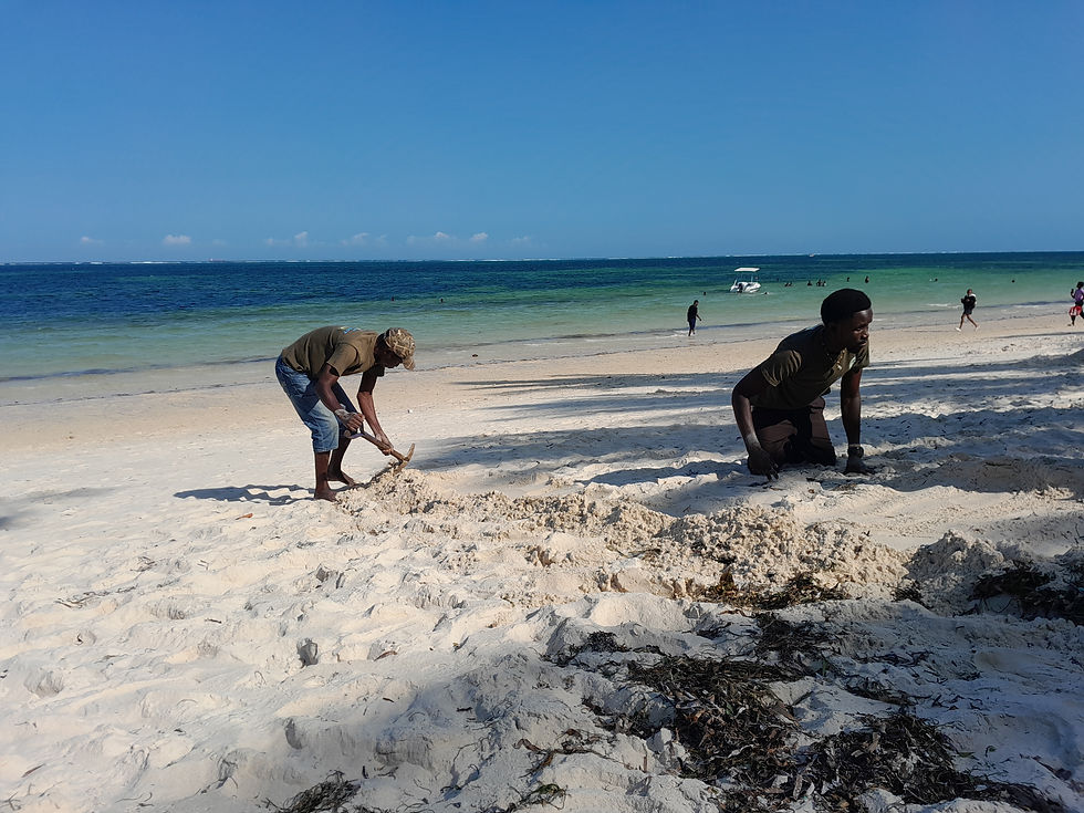 Two people dig in the sand on a sunny beach. The ocean is in the background with a boat and several distant figures. Bright blue sky.