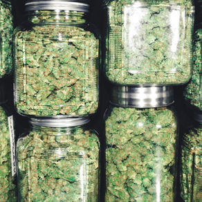 GREENJAM