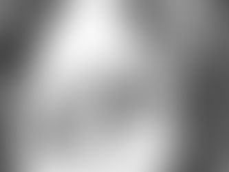 Pearl, the Light Sussex hen, shares the latest gossip about human New Year's resolutions with her feathered friends in the coop.