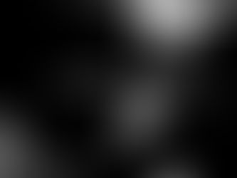 A brindle boxer dog (Charlie) rests peacefully on a cozy cushion, embraced by the soft interplay of light and shadow in a tranquil room setting. He is ignoring the loud fireworks going off outside.