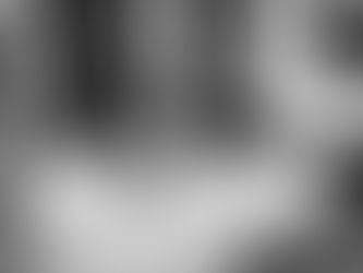 A relaxed boxer dog (Charlie) lounges comfortably on a plush cushion in front of a classic fireplace, adding a cozy charm to the elegant room.