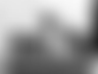 A contemplative cat (Mooby) sits on a stair, bathed in soft light, creating a serene and peaceful moment. He is people and dog watching.