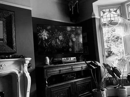 Helping Dogs Through Fireworks Season