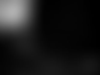 The garden in moonlight with the big trees and chicken coop showing the night sky.