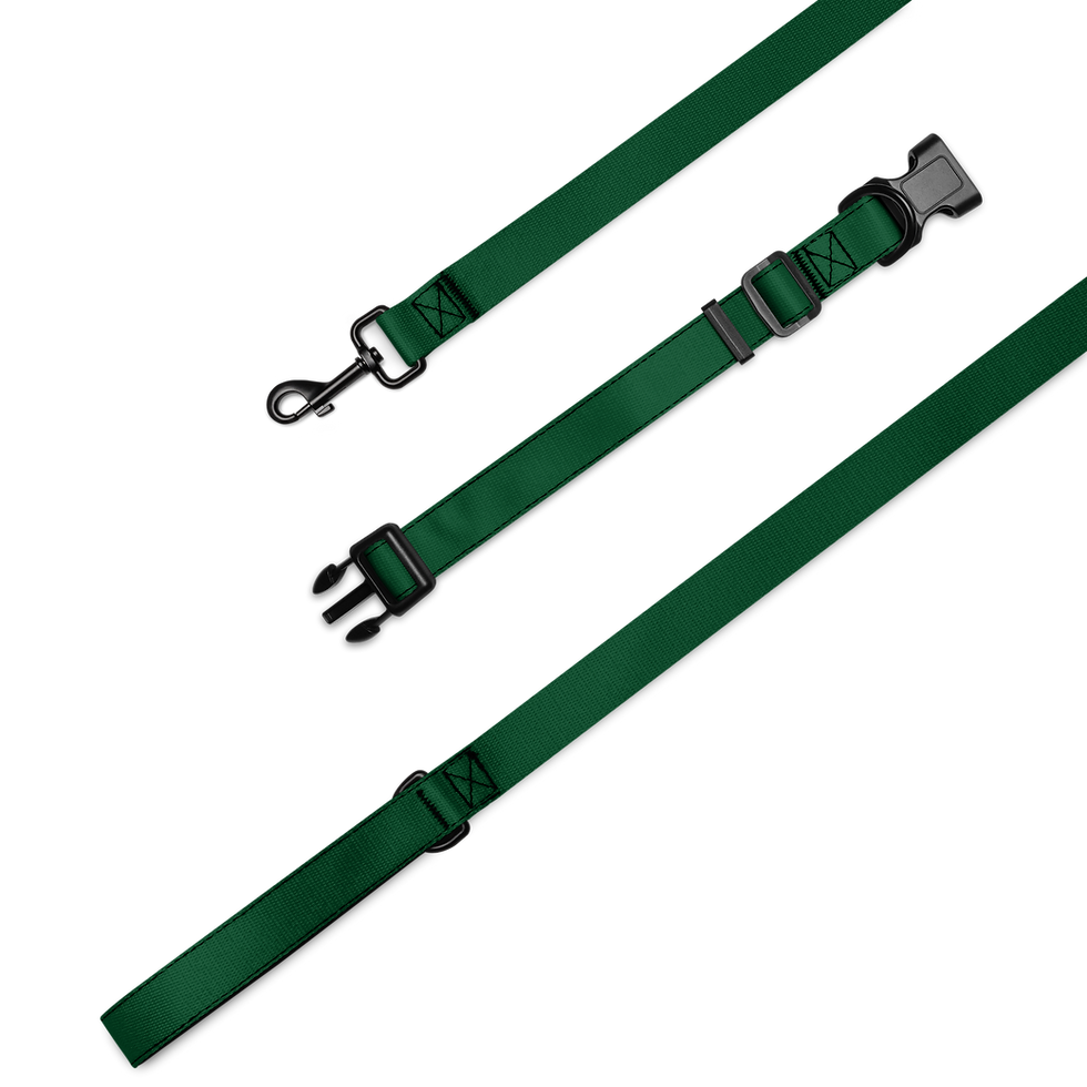 Forest Green BY MY SIDE pet collar and leash set from the There's No Place Like Home collection by Let Sleeping Dogs Lie.