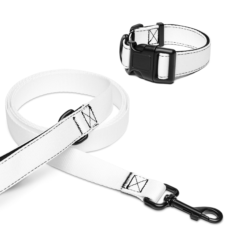White ADDITIONAL NEEDS pet collar and lead set from the Dog Listening Signalling Collection by Let Sleeping Dogs Lie.