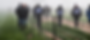 DSC_1224_edited.png