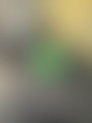 Dog poo in small garden problem...solved