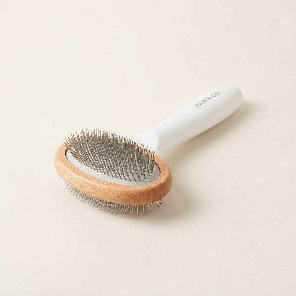 Deshedding Grooming Brush