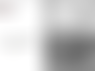 Winnie the War Winner!