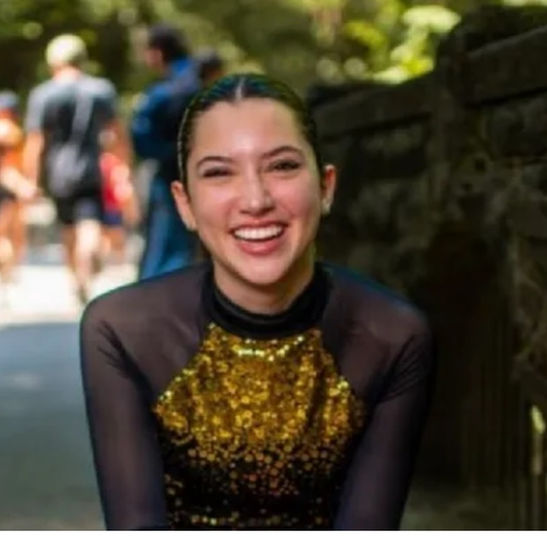 GoFundMe for Camilia Sanchez