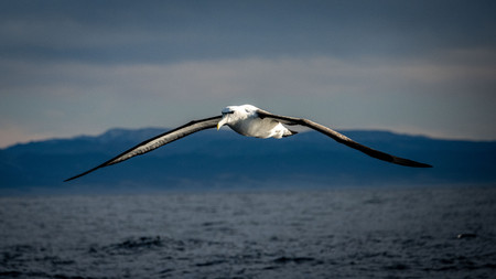 dsc_1373.jpg