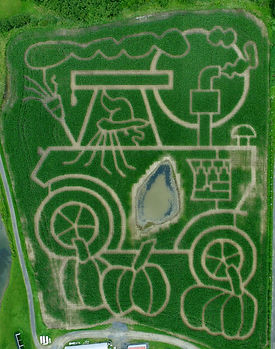 The corn maze at Samascott's Garden Market is open annually every September and October