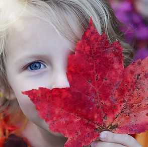 girl holding red maple leaf_edited.jpg