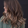 Corte