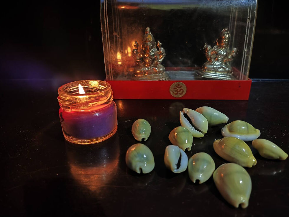 Natural Yellow Peeli | Kaudi  |  Kawri | Kodi | Cowrie (11 Pieces Loose Packed)