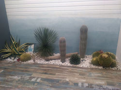 Aménagement extérieur