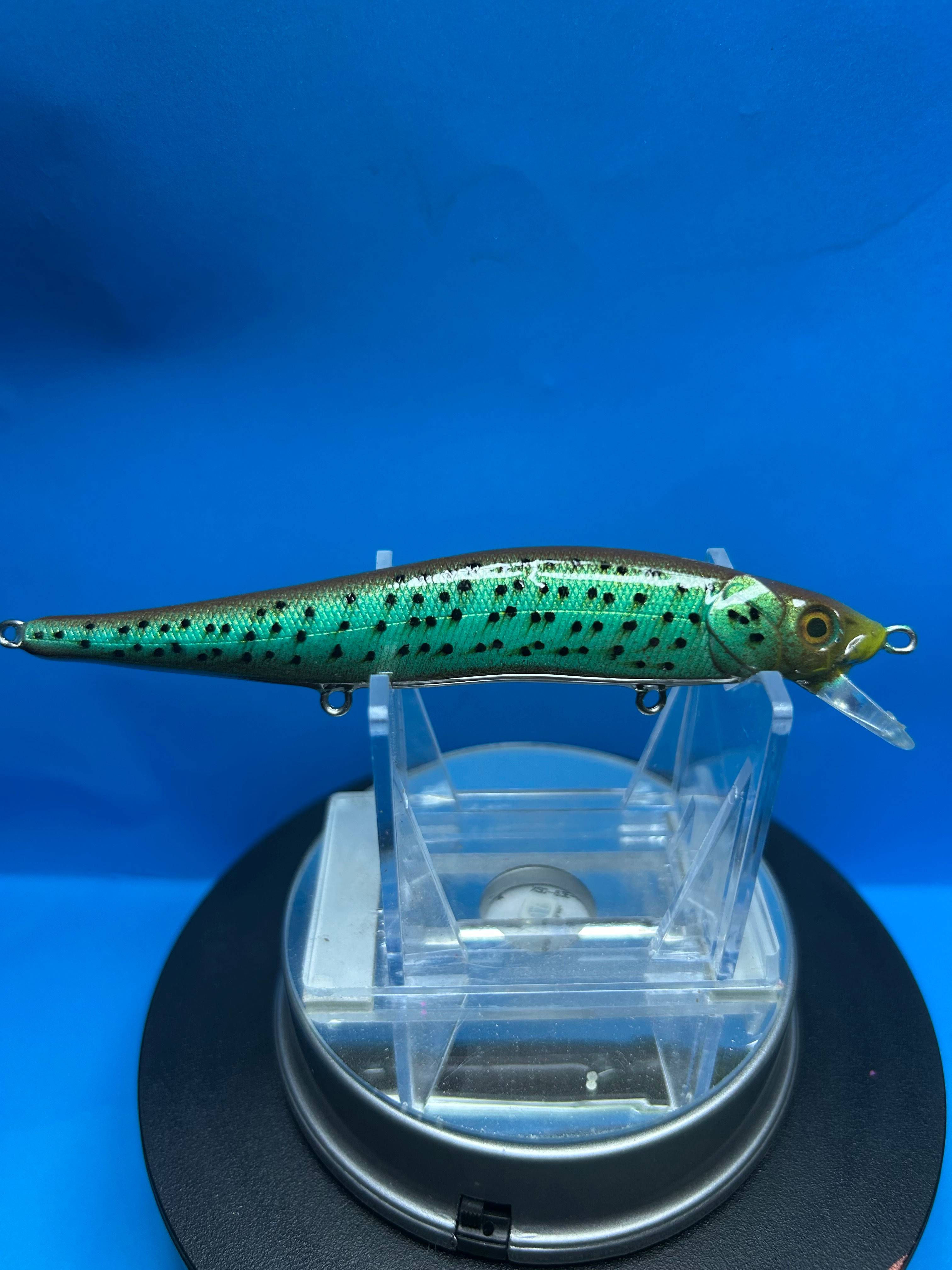 110 Jerkbait