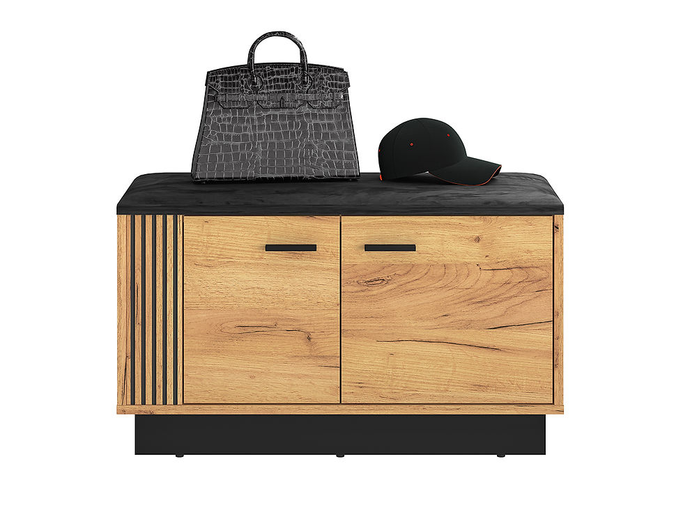 Miniatură: Banchetă tapițată cu două uși VASCO 03